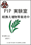 P1P実験室