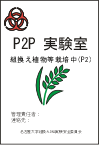 P2P実験室