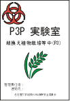 P3P実験室